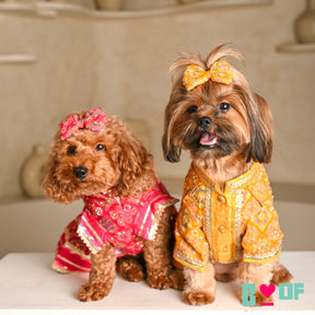 MAGENTA PINK PATIALA MOTIF DOG LEHENGA