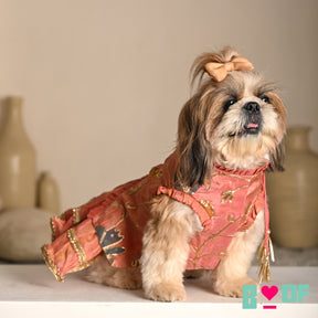 CORAL GOTA PHOOL ASYMMETRICAL LEHENGA FOR DOGS AND CATS