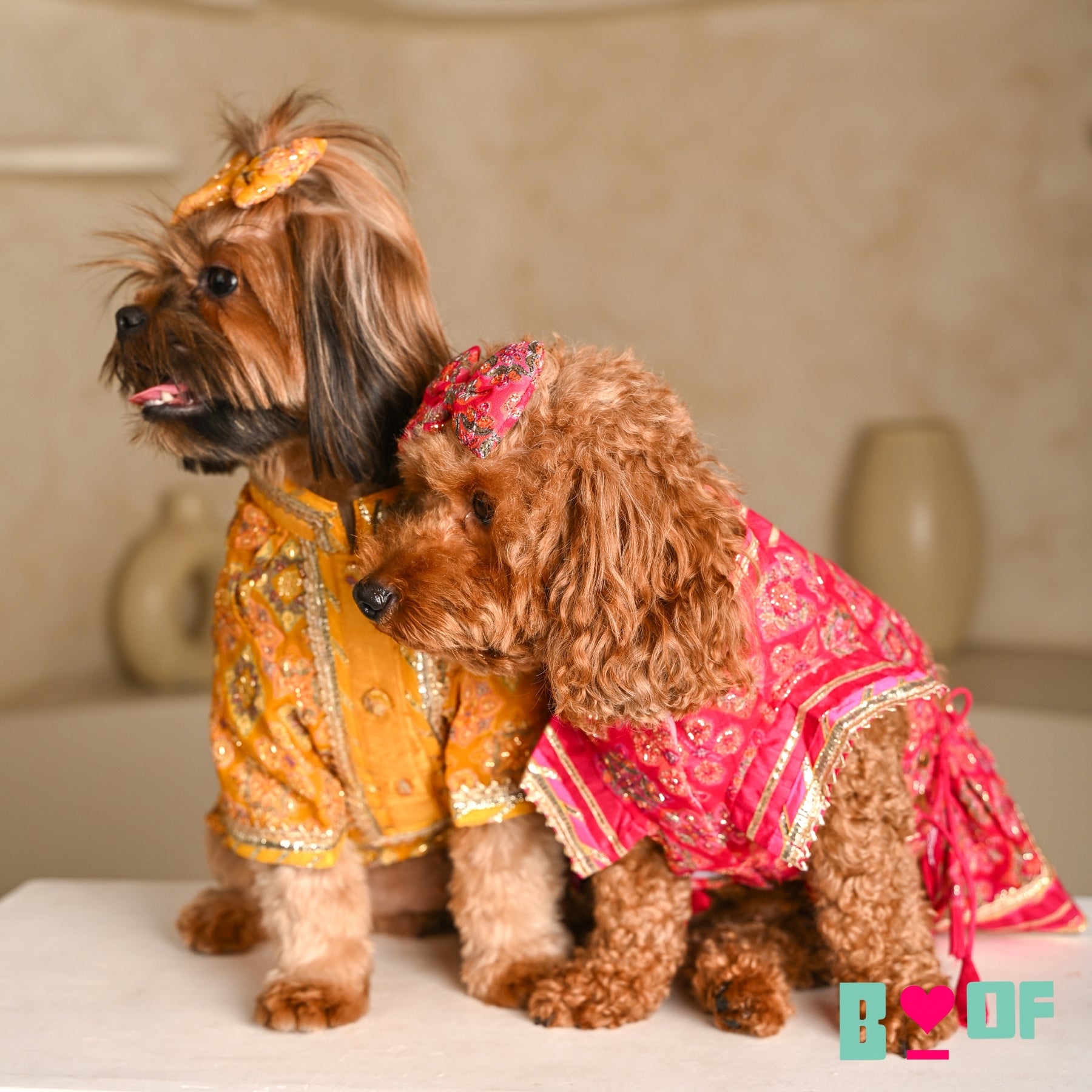 MAGENTA PINK PATIALA MOTIF DOG LEHENGA