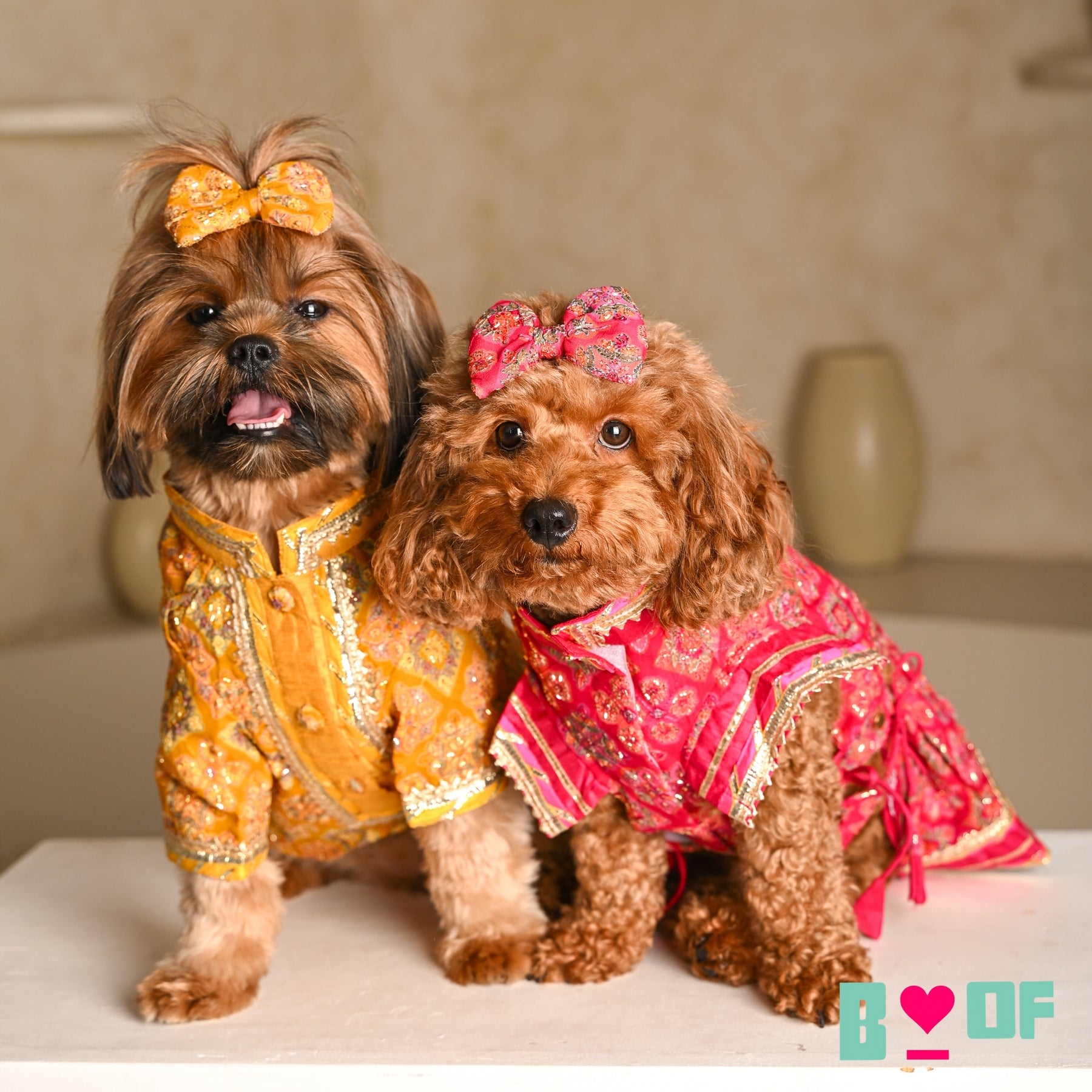 MAGENTA PINK PATIALA MOTIF DOG LEHENGA