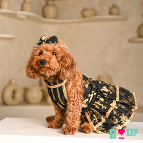 BLACK GOLD BROCADE LEHENGA FOR DOGS AND CATS