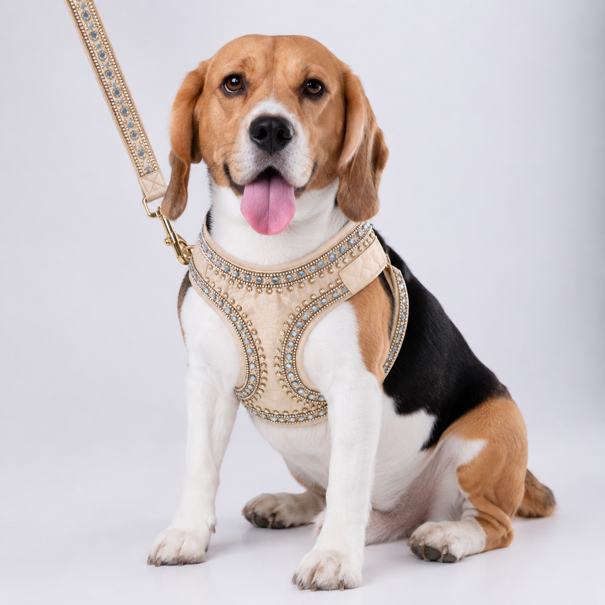 OFF-WHITE MIRROR HAND EMBROIDERED HARNESS + LEASH FOR DOGS AND CATS