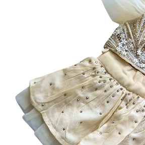 GOLD JEWELLED SWAROVSKI DOG LEHENGA