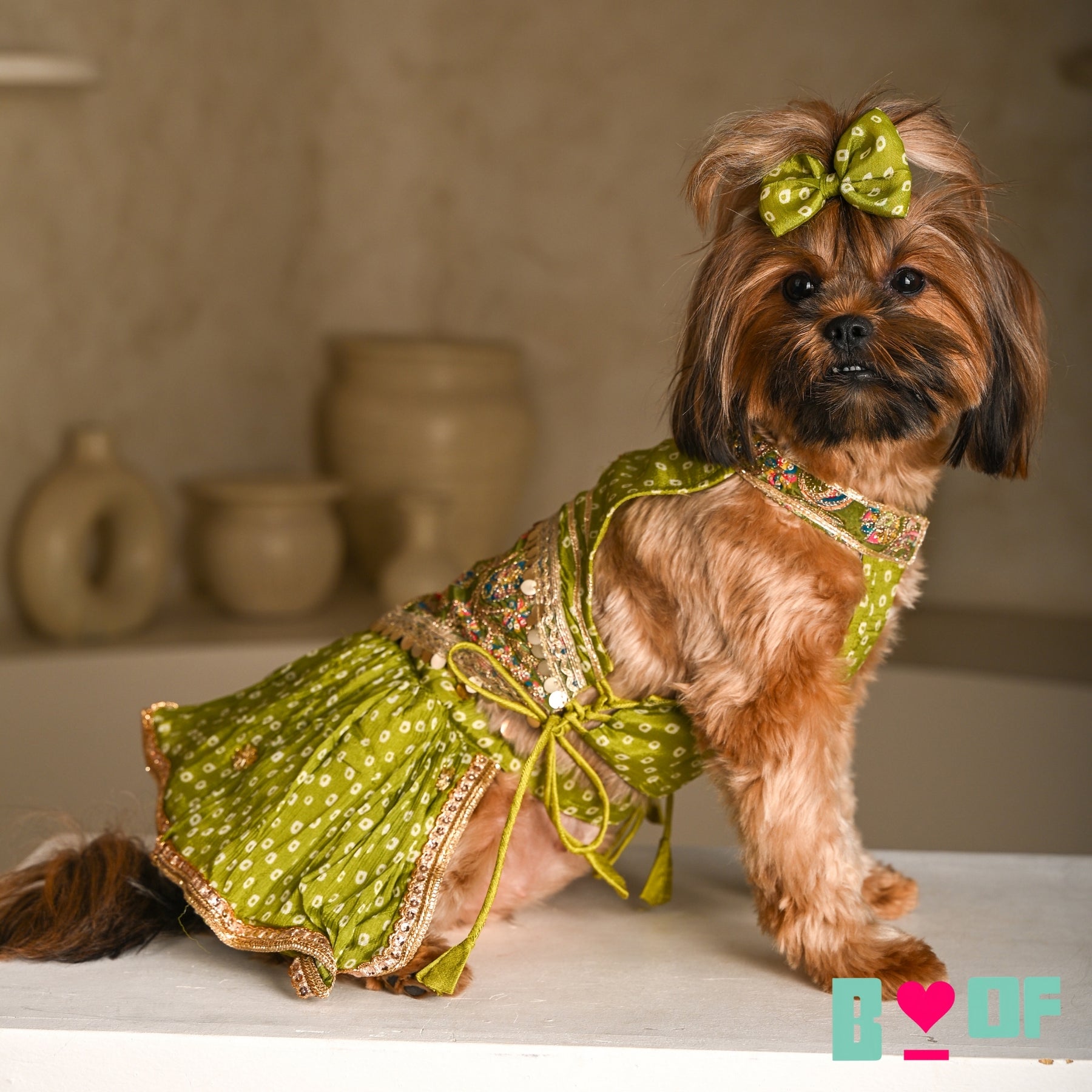 MEHENDI GREEN BANDHANI PRINT HALTER NECK LEHENGA FOR DOGS AND CATS