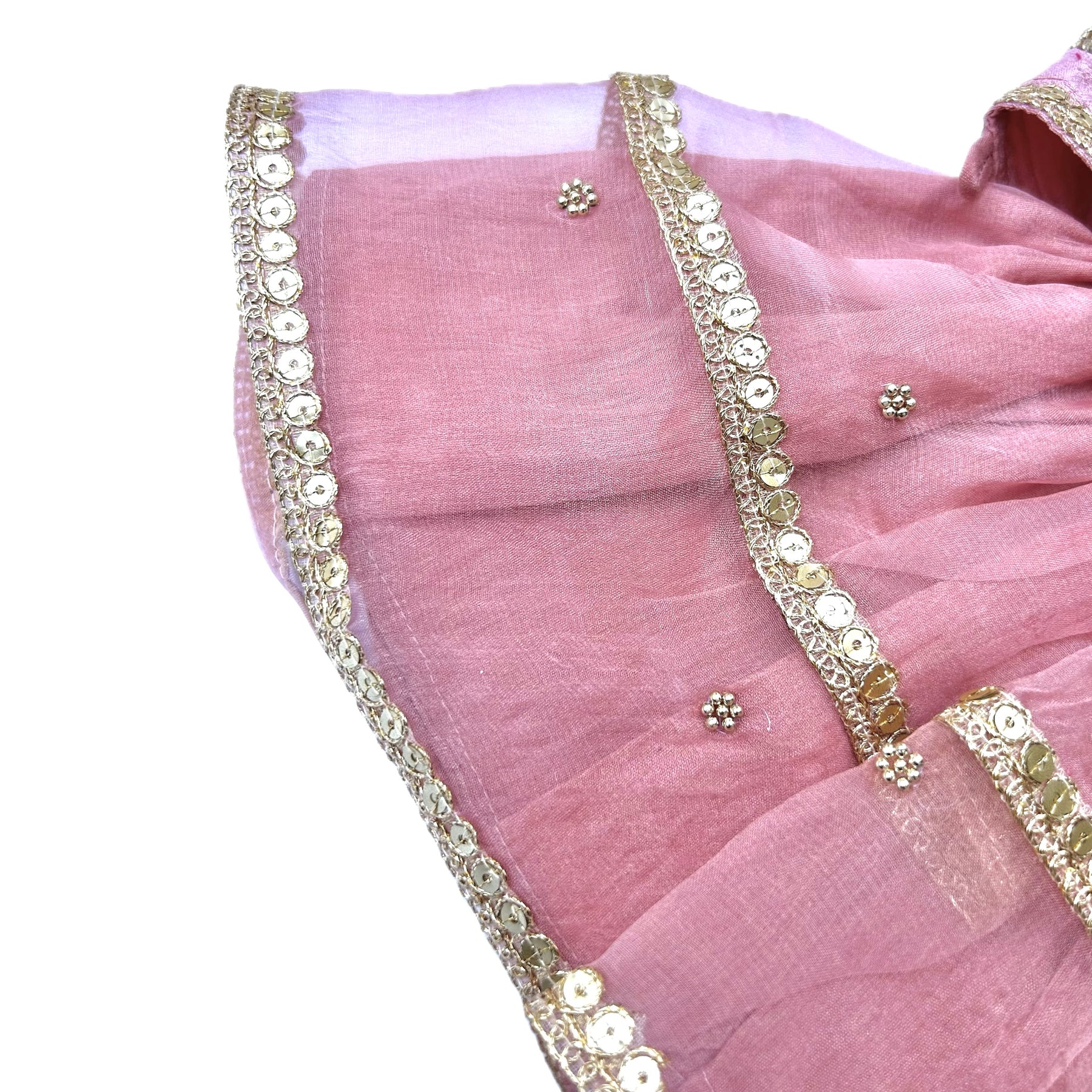 BLUSH PINK HAND EMBROIDERED GOLD FLOWERS DOG LEHENGA