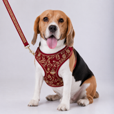 RED FLOWER LEAF HAND EMBROIDERED HARNESS + LEAF FOR DOGS AND CATS