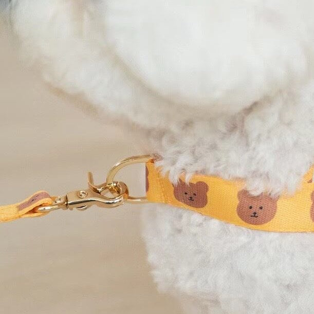 TEDDY HARNESS + LEASH