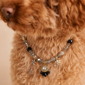 Midnight Aura Crystal Pet Necklace