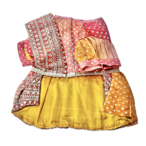 ORANGE BROCADE BORDER DOG SAREE