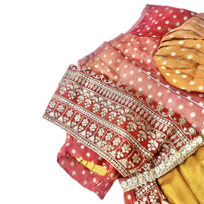 ORANGE BROCADE BORDER DOG SAREE