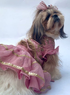 BLUSH PINK HAND EMBROIDERED GOLD FLOWERS DOG LEHENGA