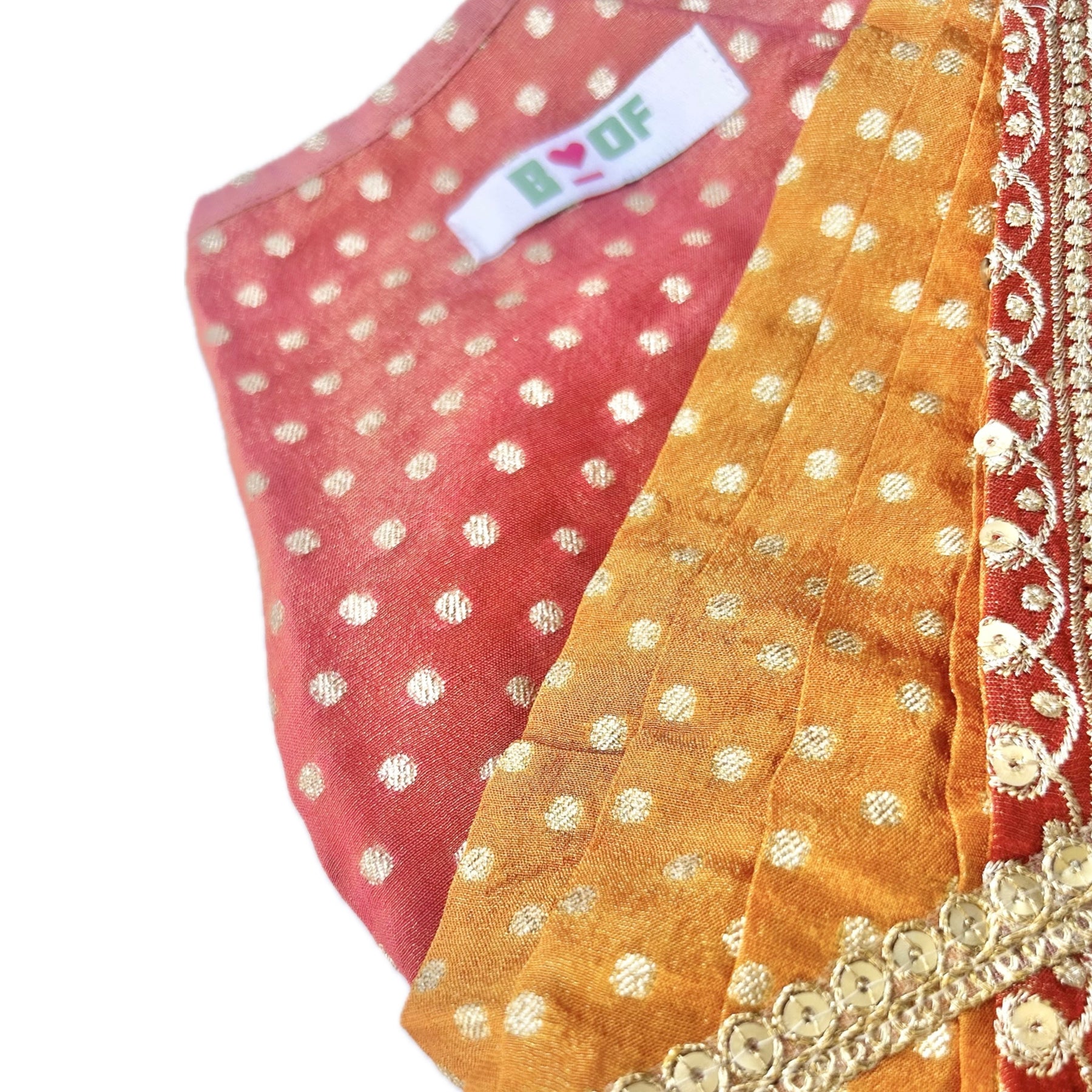 ORANGE BROCADE BORDER DOG SAREE