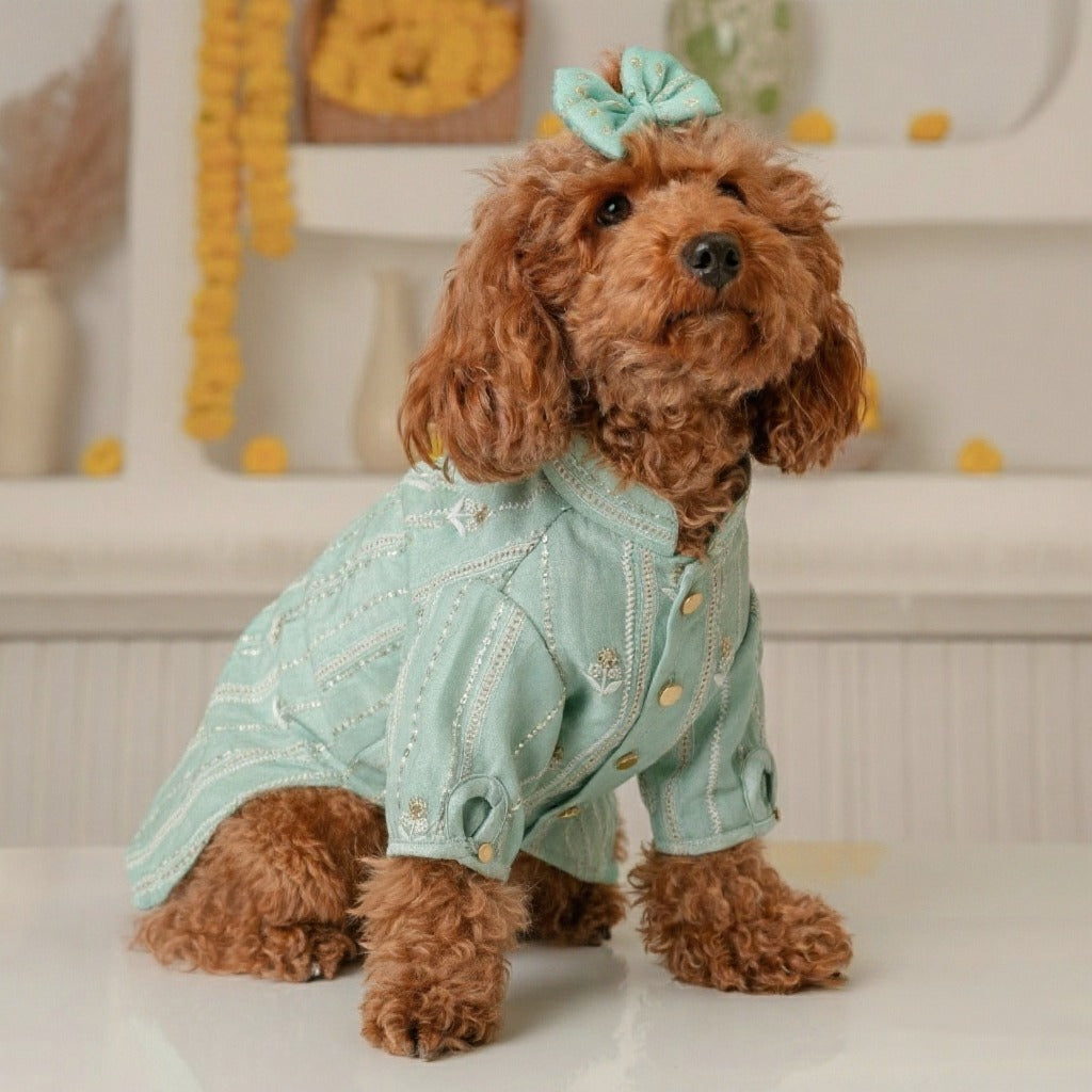 MINT GREEN CHIKANKARI GOTA PATTI KURTA FOR DOGS AND CATS