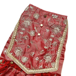 RED TISSUE FLORAL SEQUINS LEHENGA FOR DOGS AND CATS