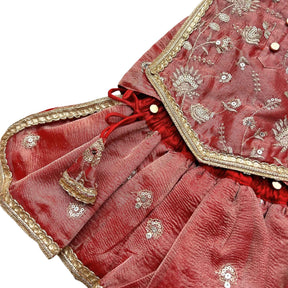 RED TISSUE FLORAL SEQUINS LEHENGA FOR DOGS AND CATS
