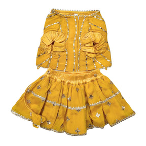 YELLOW FESTIVE ZARI BUTI LEHENGA + SILVER YELLOW PEARL RAKHI FOR DOGS AND CATS