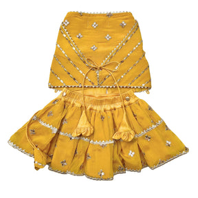 YELLOW FESTIVE ZARI BUTI LEHENGA + SILVER YELLOW PEARL RAKHI FOR DOGS AND CATS