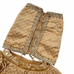 GOLDEN ZARI LACE BROCADE LEHENGA FOR DOGS AND CATS
