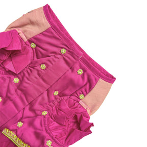 LIME GILDED PINK BLOSSOM HAND EMBROIDERED LEHENGA FOR DOGS AND CATS