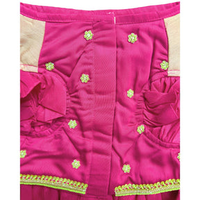 LIME GILDED PINK BLOSSOM HAND EMBROIDERED LEHENGA FOR DOGS AND CATS