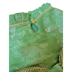 GREEN HEER JEWEL EMBROIDERED TUTU DRESS FOR DOGS AND CATS