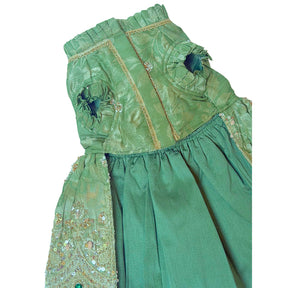 GREEN HEER JEWEL EMBROIDERED TUTU DRESS FOR DOGS AND CATS