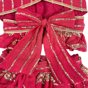 PINK DILNOOR BOW LEHENGA  FOR DOGS AND CATS