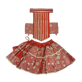 RED FLORAL TISSUE  LEHENGA FOR DOGS AND CATS