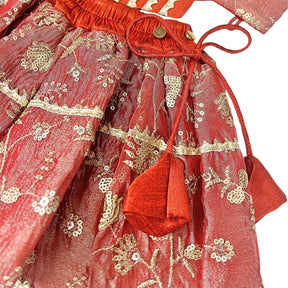 RED FLORAL TISSUE  LEHENGA FOR DOGS AND CATS
