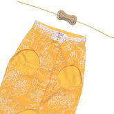 YELLOW OFF-WHITE EMBROIDERY SHERWANI+SILVER YELLOW PEARL BONE RAKHI FOR DOGS AND CATS
