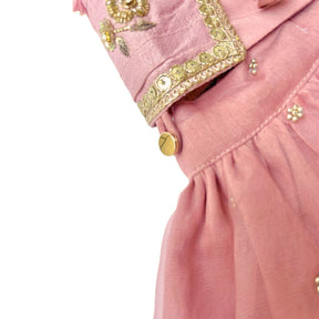 BLUSH PINK HAND EMBROIDERED GOLD FLOWERS DOG LEHENGA