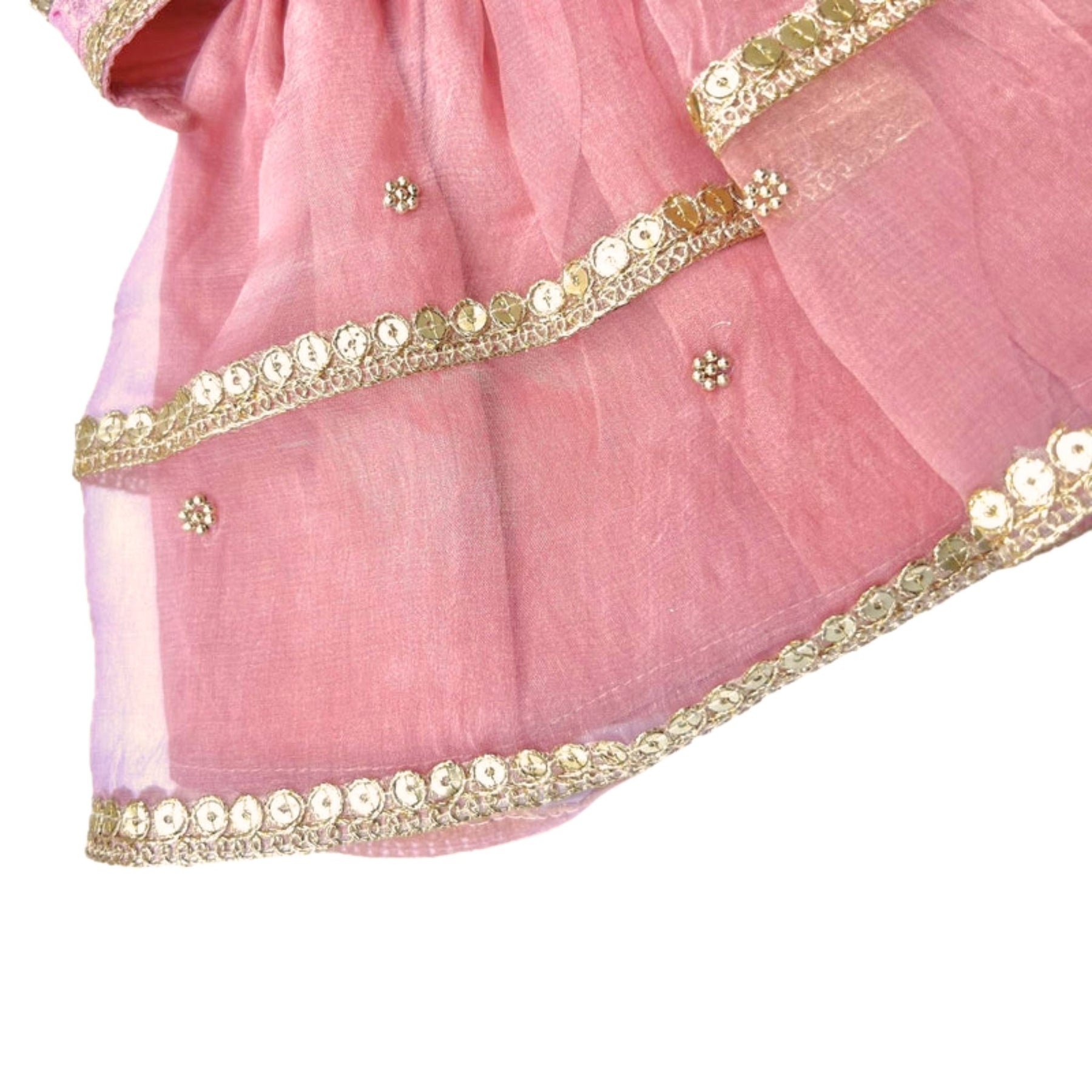 BLUSH PINK HAND EMBROIDERED GOLD FLOWERS DOG LEHENGA