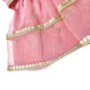 BLUSH PINK HAND EMBROIDERED GOLD FLOWERS DOG LEHENGA
