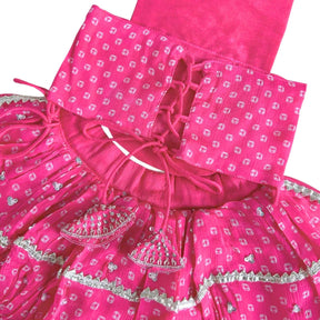 PINK BANDHANI SILVER EMBELLISHED LEHENGA FOR DOGS AND CATS