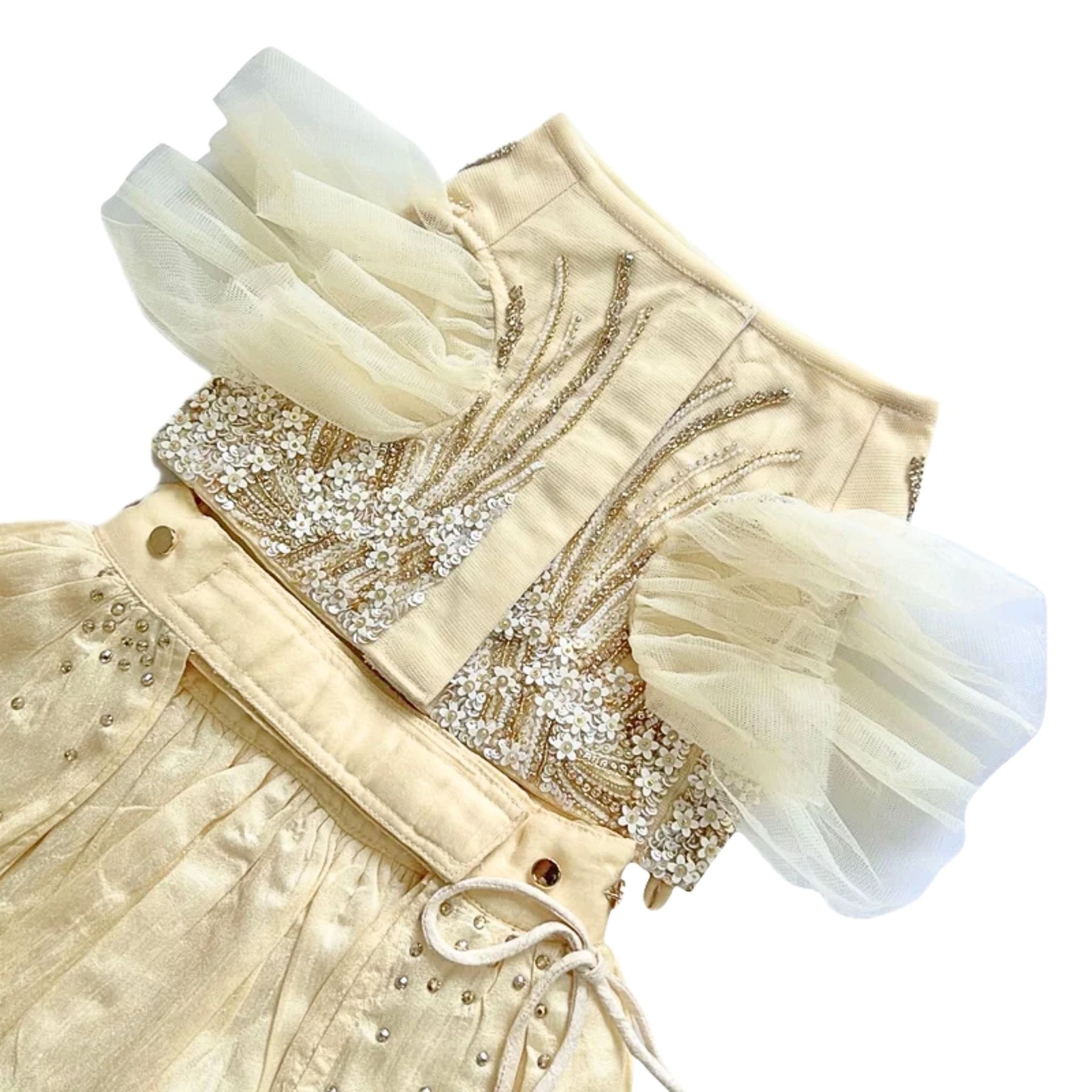 GOLD JEWELLED SWAROVSKI DOG LEHENGA