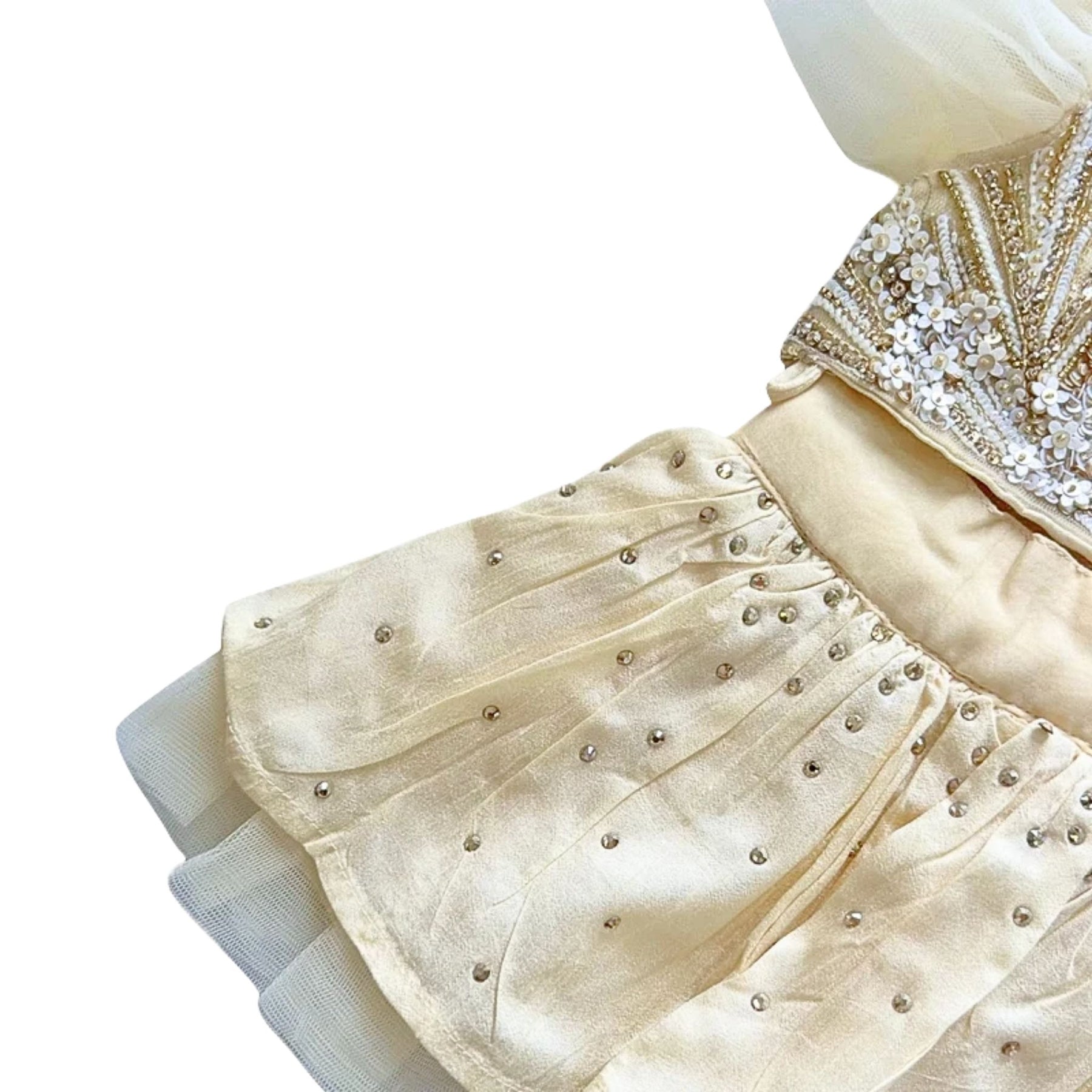 GOLD JEWELLED SWAROVSKI DOG LEHENGA