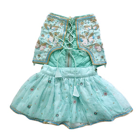 SEA BLUE BUTTERFLY DOG LEHENGA