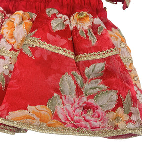 RED FLORAL ZARI LEHENGA FOR DOGS AND CATS