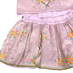 PASTEL PINK DESI PATAKA HAND EMBROIDERED LEHENGA FOR DOGS AND CATS