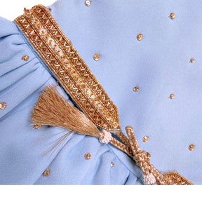 BLUE CRYSTAL MAJESTRY DRESS FOR DOGS AND CATS