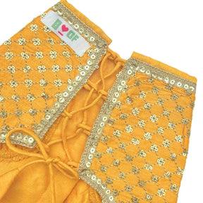SUN YELLOW GOLD DOG LEHENGA