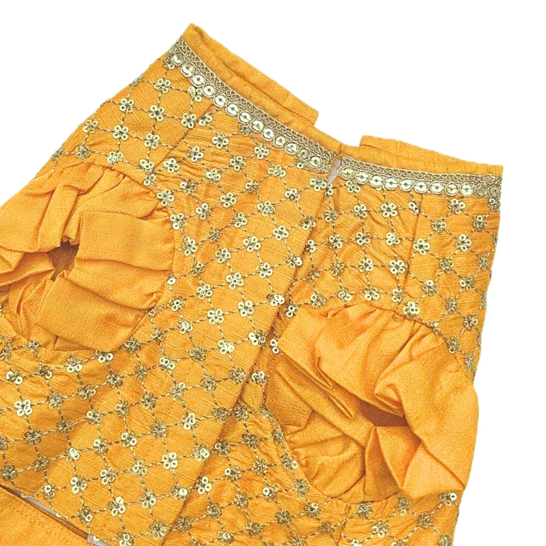 SUN YELLOW GOLD DOG LEHENGA