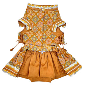 MUSTARD YELLOW PATIALA MOTIF DOG LEHENGA + YELLOW PAW-SOME RAKHI FOR DOGS AND CATS