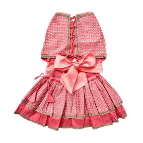 PEACH PINK SITARA BOW LEHENGA + PINK PAW-SOME RAKHI FOR DOGS AND CATS