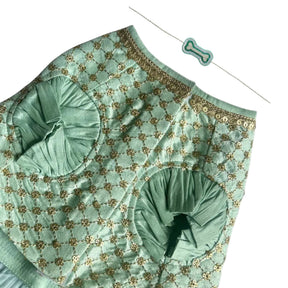 PASTEL BLUE GOLD DOG LEHENGA + AQUA GREEN PEARL BONE RAKHI FOR DOGS AND CATS