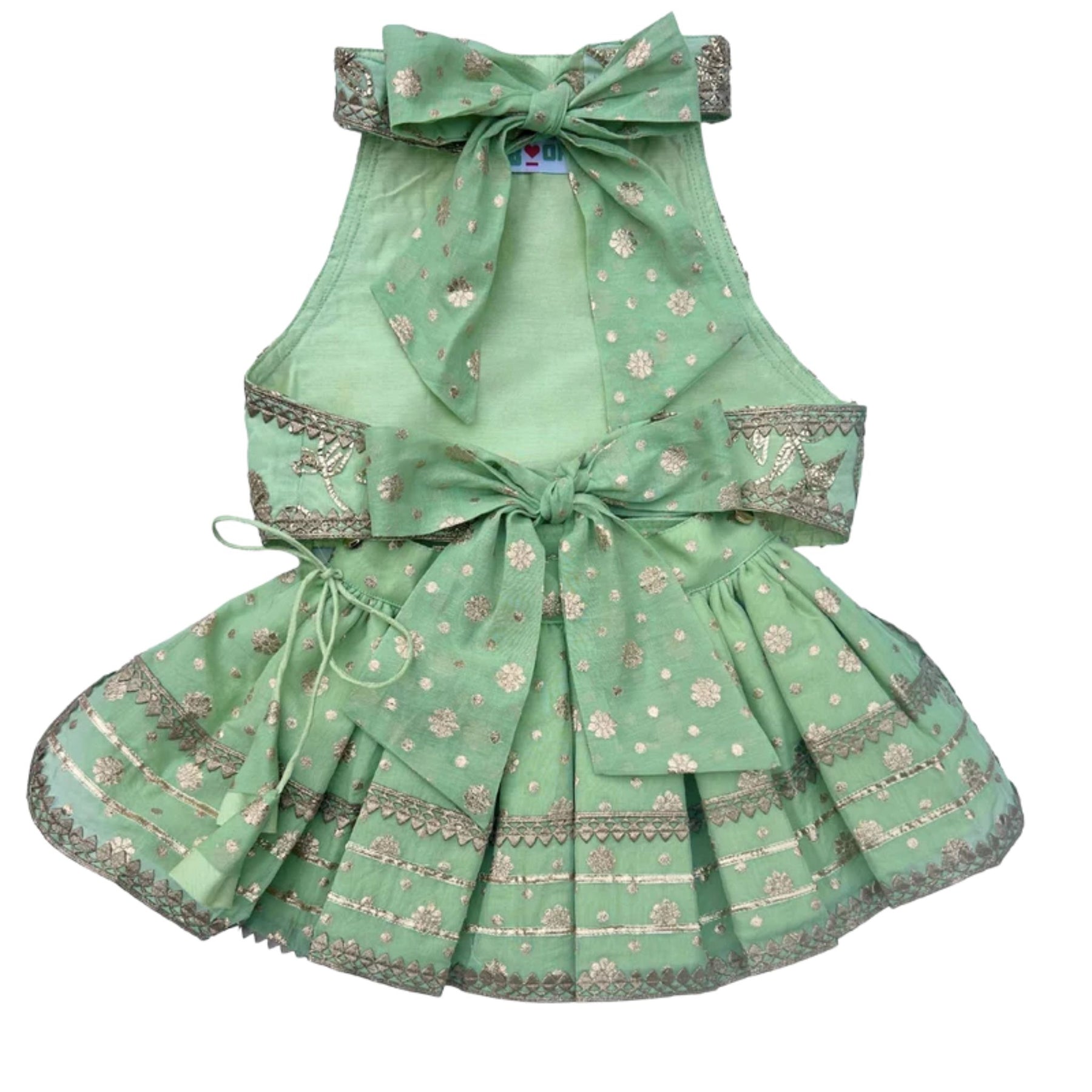 PASTEL GREEN GOTA EMBROIDERED BOW LEHENGA + LIGHT GREEN BONE RAKHI FOR DOGS AND CATS