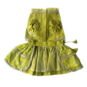 LIGHT GREEN SEQUINS  LEHENGA + GREEN FETCH BALL RAKHI FOR DOGS AND CATS