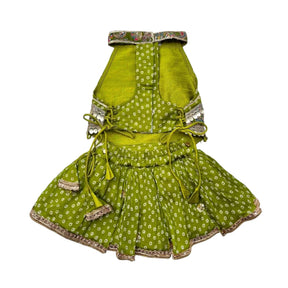 MEHENDI GREEN BANDHANI PRINT HALTER NECK LEHENGA + LIGHT GREEN BONE RAKHI FOR DOGS AND CATS