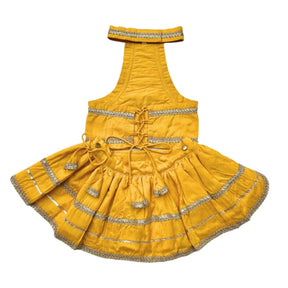 MUSTARD YELLOW LACE DETAILED HALTER NECK LEHENGA + YELLOW PAW-SOME RAKHI FOR DOGS AND CATS