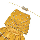 YELLOW FESTIVE ZARI BUTI LEHENGA + SILVER YELLOW PEARL RAKHI FOR DOGS AND CATS